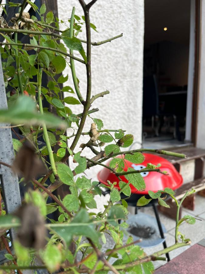 Alpina Haus Leilighet Oberammergau Eksteriør bilde